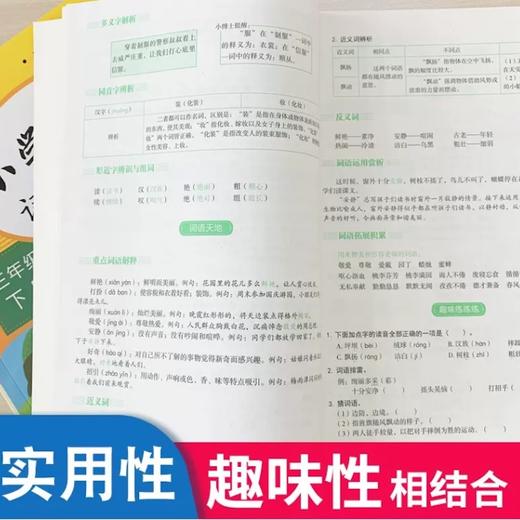 【秒杀】知识出版社-小学语文词语手册 上册 1-6年级 商品图2