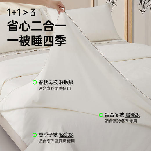四季子母二合一桑蚕丝被 商品图2