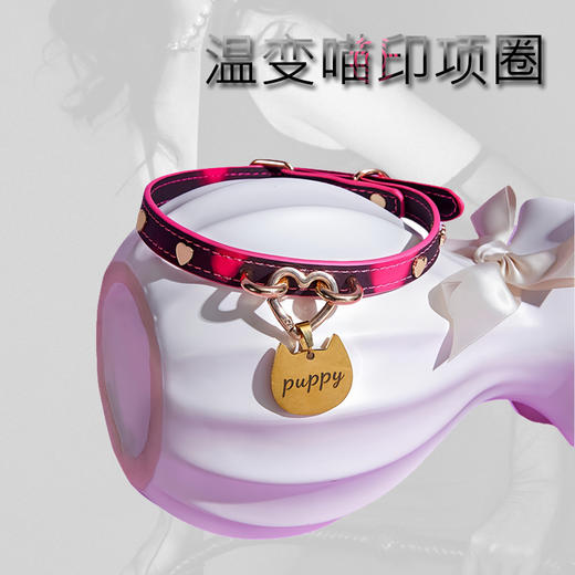魅灵温变 双扣爱心黑变红狗狗牌项圈 项圈+牵引 商品图2