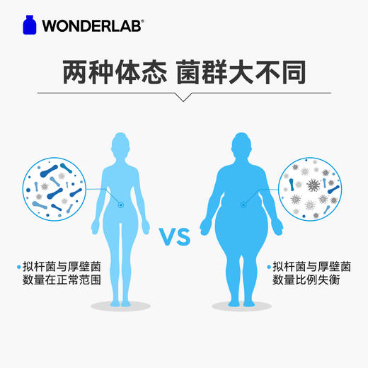 万益蓝wonderlab  益生菌粉B420肠道轻盈体重管理10瓶/30瓶装 商品图2