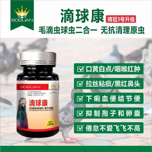 搏冠【3号滴球康片】100粒信赛鸽子毛滴虫球虫二合一植物提取不伤鸽体（博冠） 商品图0