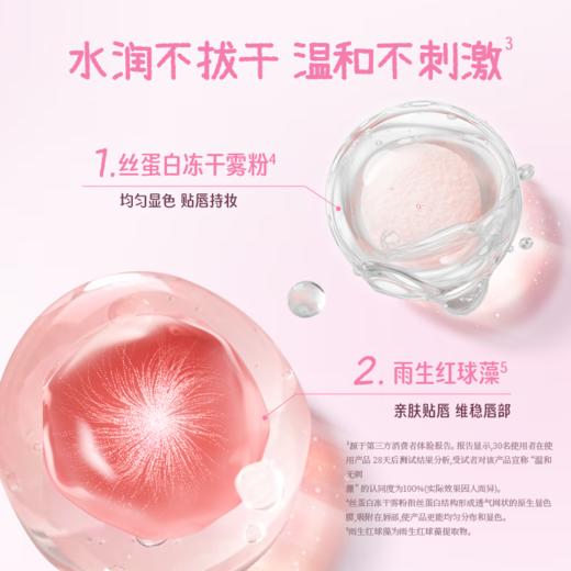 【日常专享 109/件】Colorkey珂拉琪自嘲熊和朋友们/宠爱印记/橘子水豚系列迷你唇露礼盒 商品图8