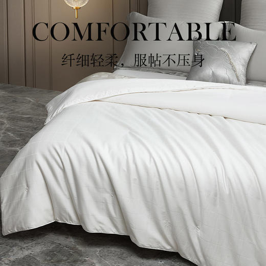 60支大提花悦享蚕丝被 商品图3