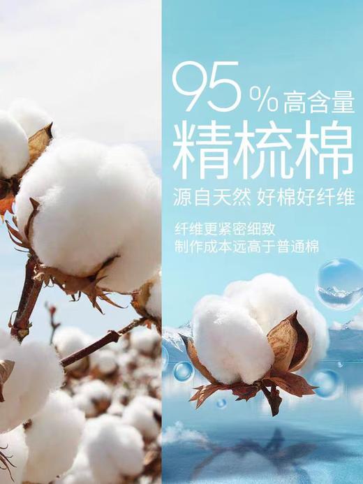 皮尔卡丹保暖内衣男士秋衣单件上衣精梳棉打底衫圆领保暖内衣冬季WP774133.1 商品图4