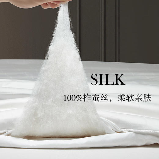 60支大提花悦享蚕丝被 商品图4