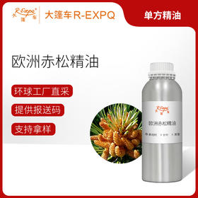 欧洲赤松精油 奥地利精油原料批发芳疗护理调香香薰 大篷车精油