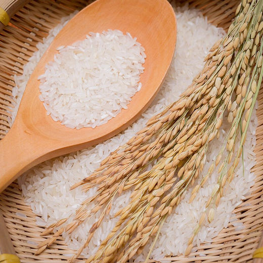 【自营】京贡1号五常有机米2.5kg真空袋 商品图5