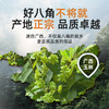 广西八角大料优质纯干无熏硫香调料大全新八角桂皮香叶组合装 商品缩略图1
