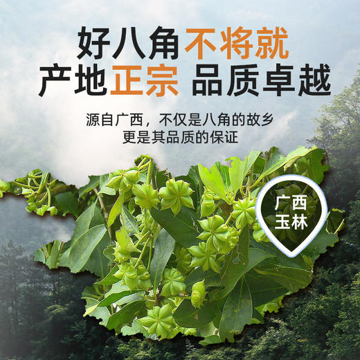 广西八角大料优质纯干无熏硫香调料大全新八角桂皮香叶组合装 商品图1