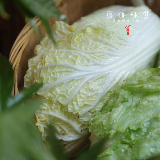 【限时特价！】生态露地蔬菜/洋葱/紫甘蓝/（基地直发-顺丰包邮）|多种蔬菜，来自河北张家口，生产者：李鹏飞【合作生产，公平贸易】 商品图4