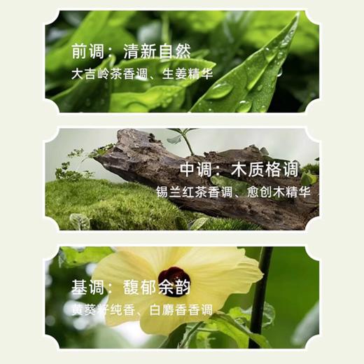 Bvlgari 宝格丽 大吉岭茶男士春季套装（淡香100ml+沐浴露75ml） 商品图1