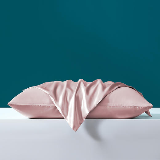 桑蚕丝素色枕套 商品图1