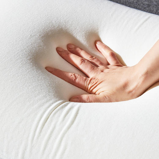 四季舒睡双面记忆枕 商品图3