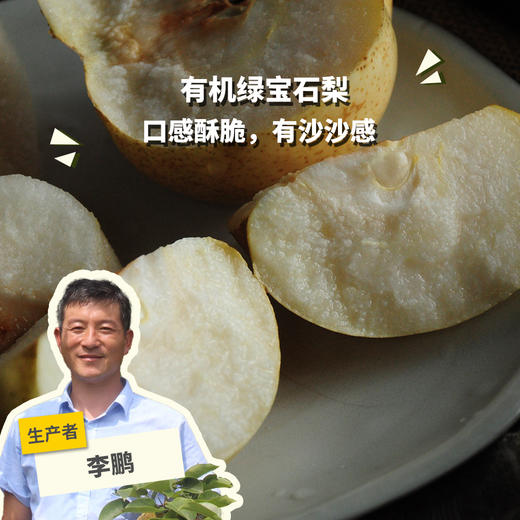 有机绿宝石梨 | 合作生产 *Organic emerald  pear | Partner Production 商品图0