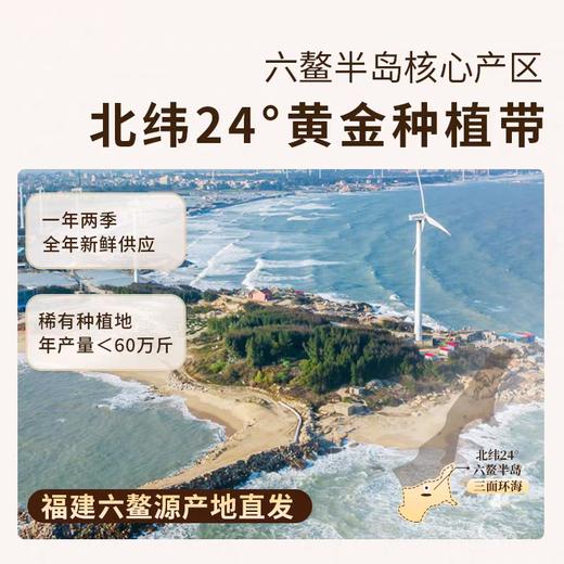 六鳌蜜薯 地标产品 香甜软糯 无筋无丝 3斤装  A-5014 商品图5