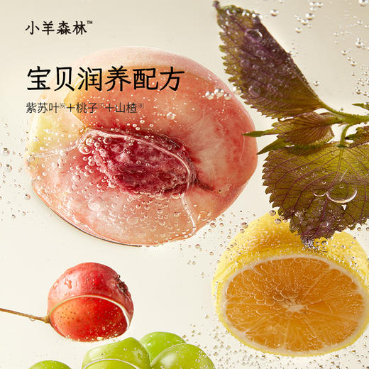 「紫苏桃子汁」酸甜清润 鲜果香甜 小月龄也能喝 紫苏+桃子+山楂 水饮 饮品 商品图2