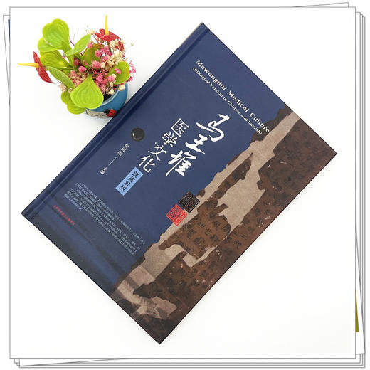 马王堆医学文化（汉英对照） 何清湖 主编 中国中医药出版社 商品图1