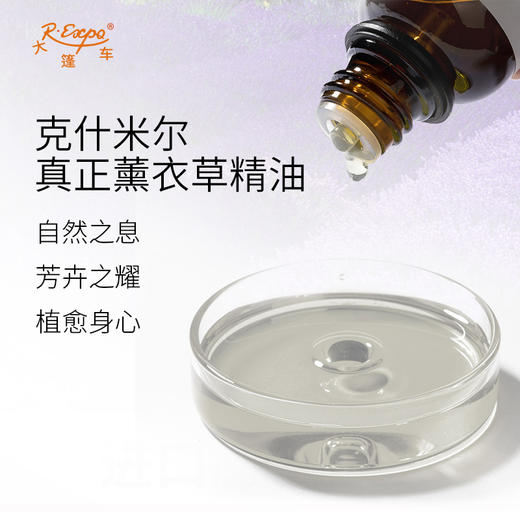 克什米尔真正薰衣草精油 印度精油原料批发 芳疗护理调香香薰 商品图1
