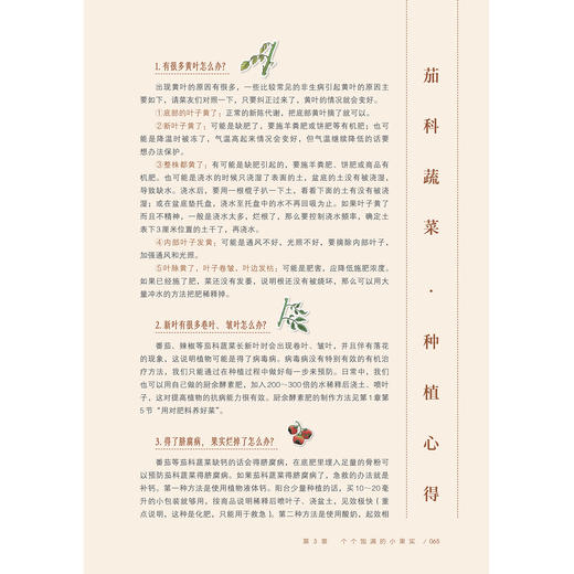 《阳台种菜》 商品图10