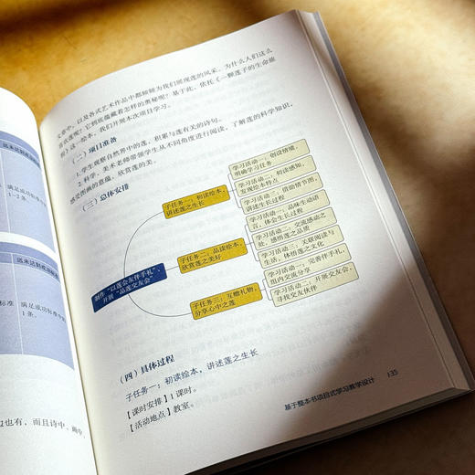 小学语文项目式学习怎么做 大夏书系 语文之道 李怀源 曹佳丽 商品图9