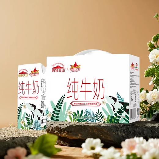 西牧天山纯牛奶（200毫升*10） 商品图0