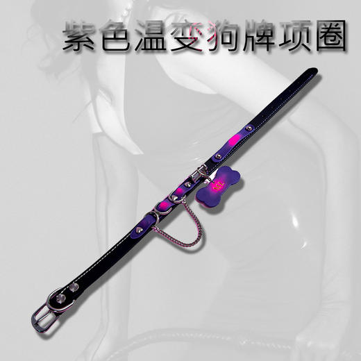 魅灵温变 曜石黑真皮贴合紫变红狗狗牌项圈 项圈+牵引 商品图3