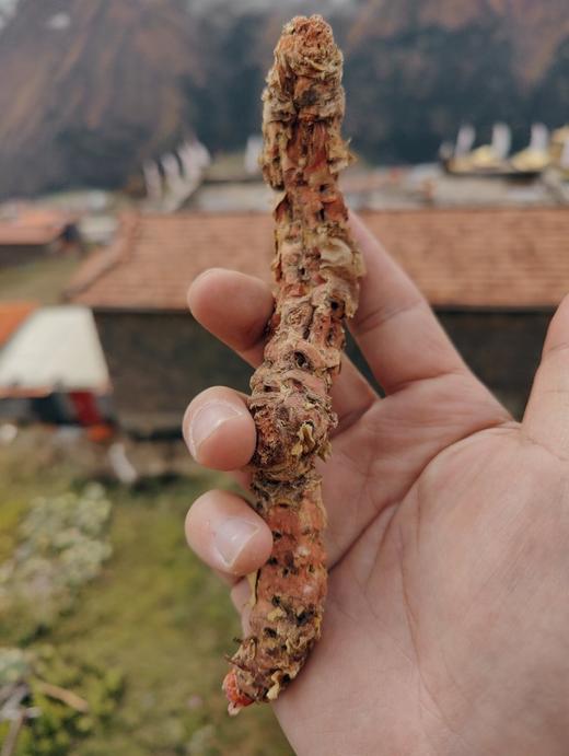 红景天精油 商品图3