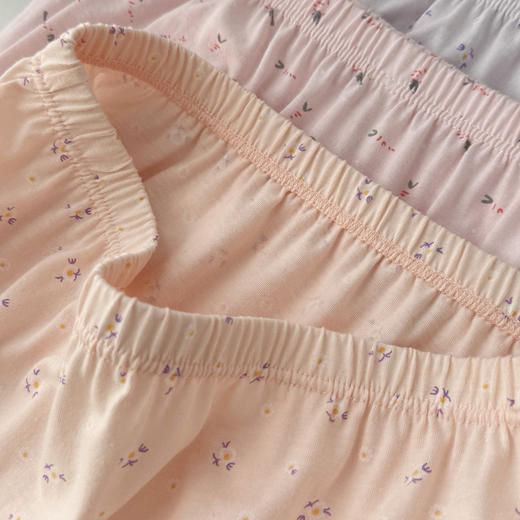 女士新疆长绒棉大版纯棉老年内裤宽松舒适9301 商品图2