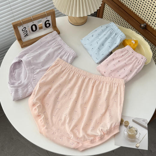 女士新疆长绒棉大版纯棉老年内裤宽松舒适9301 商品图3