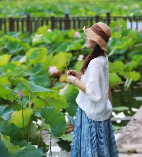 闪照第344期 接天莲叶无穷碧