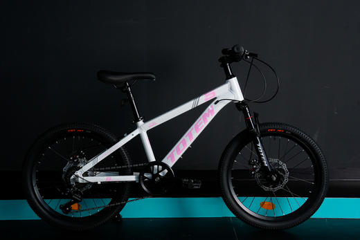 图腾扬帆儿童自行车20寸易骑安全骑行整车 商品图0