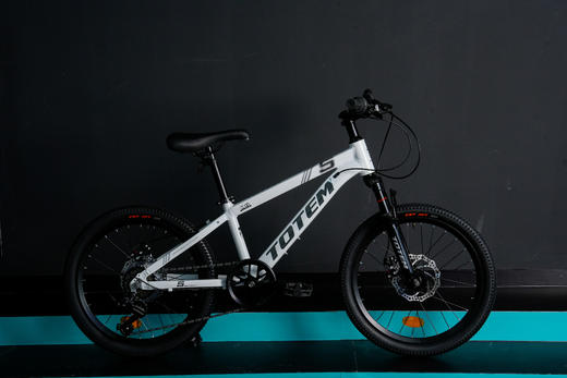 图腾扬帆儿童自行车20寸易骑安全骑行整车 商品图4