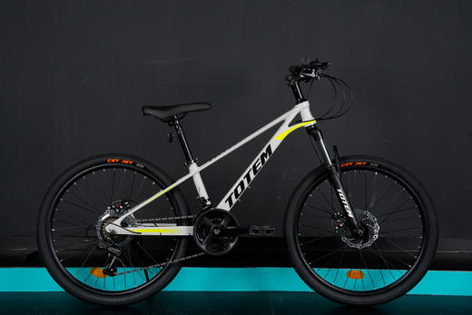 马丁 镁合金 24寸青少年山地车21速 商品图2