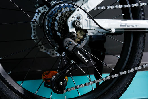 图腾扬帆儿童自行车20寸易骑安全骑行整车 商品图5