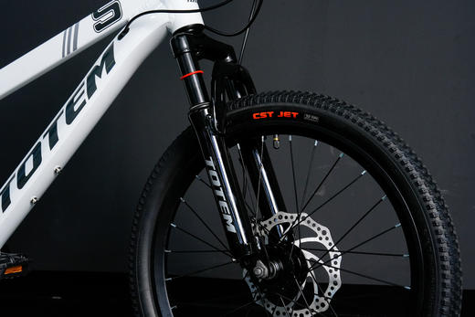 图腾扬帆儿童自行车20寸易骑安全骑行整车 商品图7