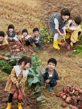 【2H志愿时长】土拨鼠的秋收派对｜仅需69.9元，化身可爱小土拨鼠，挖红薯、烤红薯、欢乐非遗鼓，5斤红薯挖回家