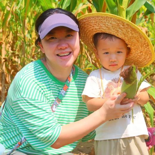 【2小时公益时长】穿越玉米迷宫寻宝、采摘扮嫩老玉米、鸭子大作战，做快乐小农人 商品图2