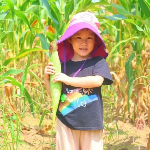 【2小时公益时长】穿越玉米迷宫寻宝、采摘扮嫩老玉米、鸭子大作战，做快乐小农人 商品图0