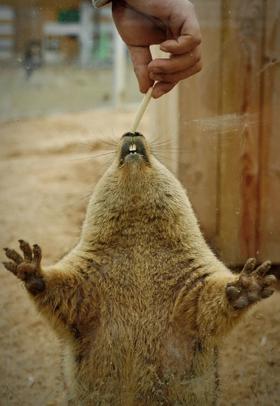 【2H志愿时长】"薯"你牛｜一站玩个够，薯田农场小当家，挖红薯、抓螃蟹、嗦薯粉、花式烤蜜薯、花园快乐"鼓"时光、积累！