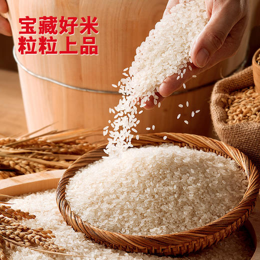 【新米】海天 五谷宝藏五常大米5kg 鲜谷现磨 真空包装 双层锁鲜 48小时发货 商品图4