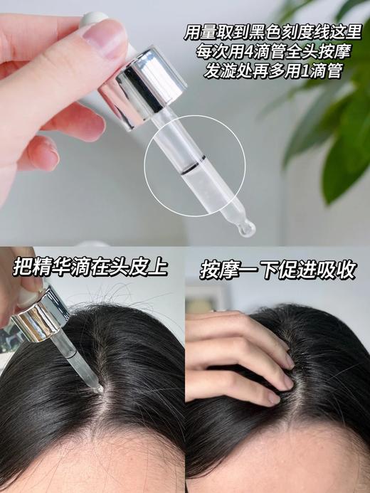 【8.2王炸割肉价】卡诗肌源焕新密集去屑精华液30ml（限25年9月） 商品图2