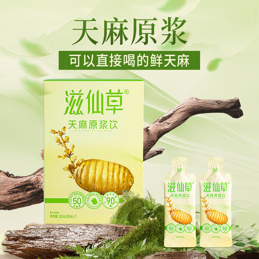 【359元4盒】滋仙草优选昭通小草坝乌天麻 天麻原浆饮/210ml 商品图0