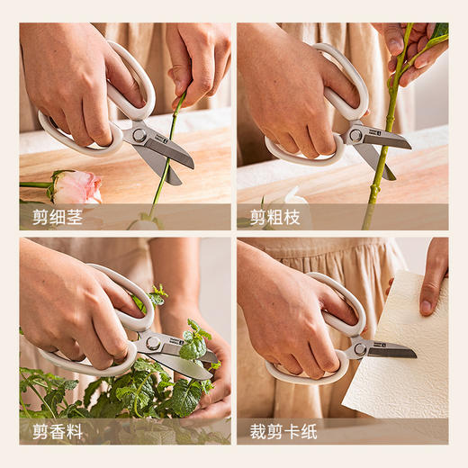 摩登主妇花艺园艺剪刀剪花修枝专用花卉剪鲜花盆栽花店插花用剪子 商品图3