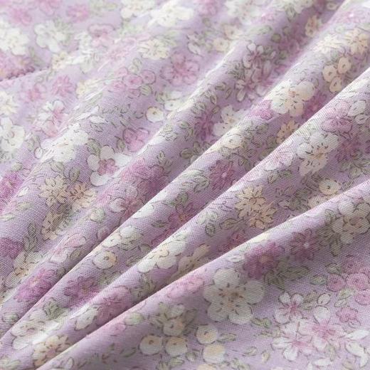 【春上新】10楼 恐龙 全棉沁柔双层纱棉花夏被 200*230cm   吊牌价1980元    活动价299元 商品图5