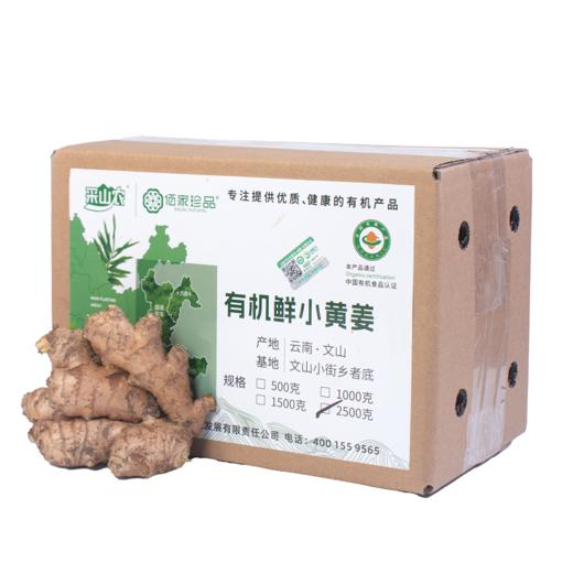严选 | 有机带泥小黄姜 500g/1500g/2500g 三种规格可选 商品图5