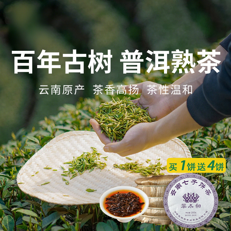  【云南普洱熟茶】云南布朗山古树 08年老茶料