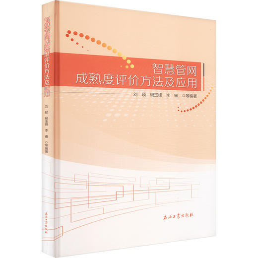 智慧管网成熟度评价方法及应用 商品图0