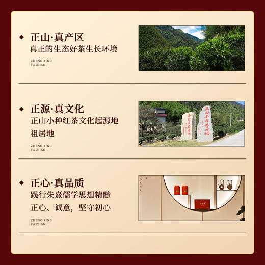 正山堂 正心发展有福气 骏眉红茶正宗光泽红茶叶送礼长辈礼盒100g 商品图4