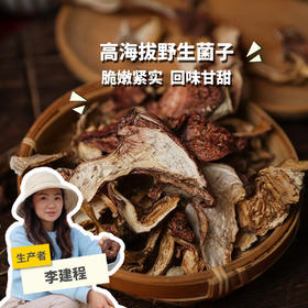 高原野生青冈菌 | 合作生产 * Plateau wild Cyclobalanopsis glauca | Partner Production