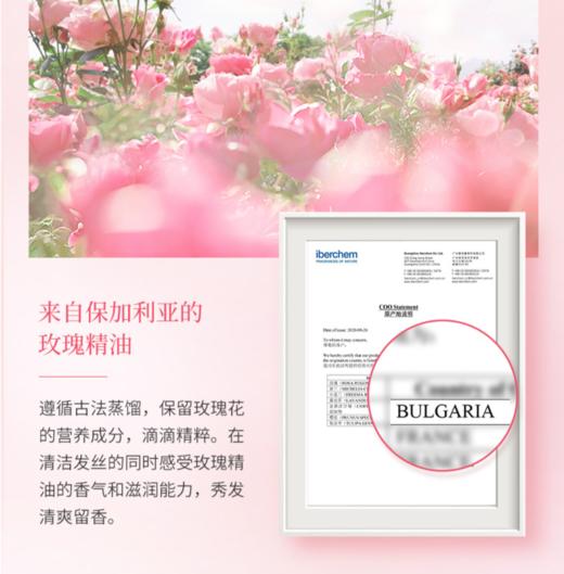 【自营】阿道夫精油香护理专研洗发乳液(净澈清爽)800g 商品图1